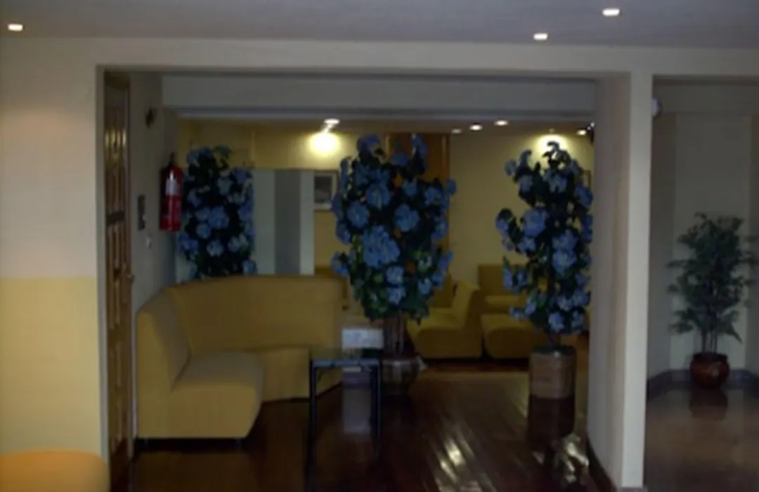 Duerming Villa De Sarria Hotel-1