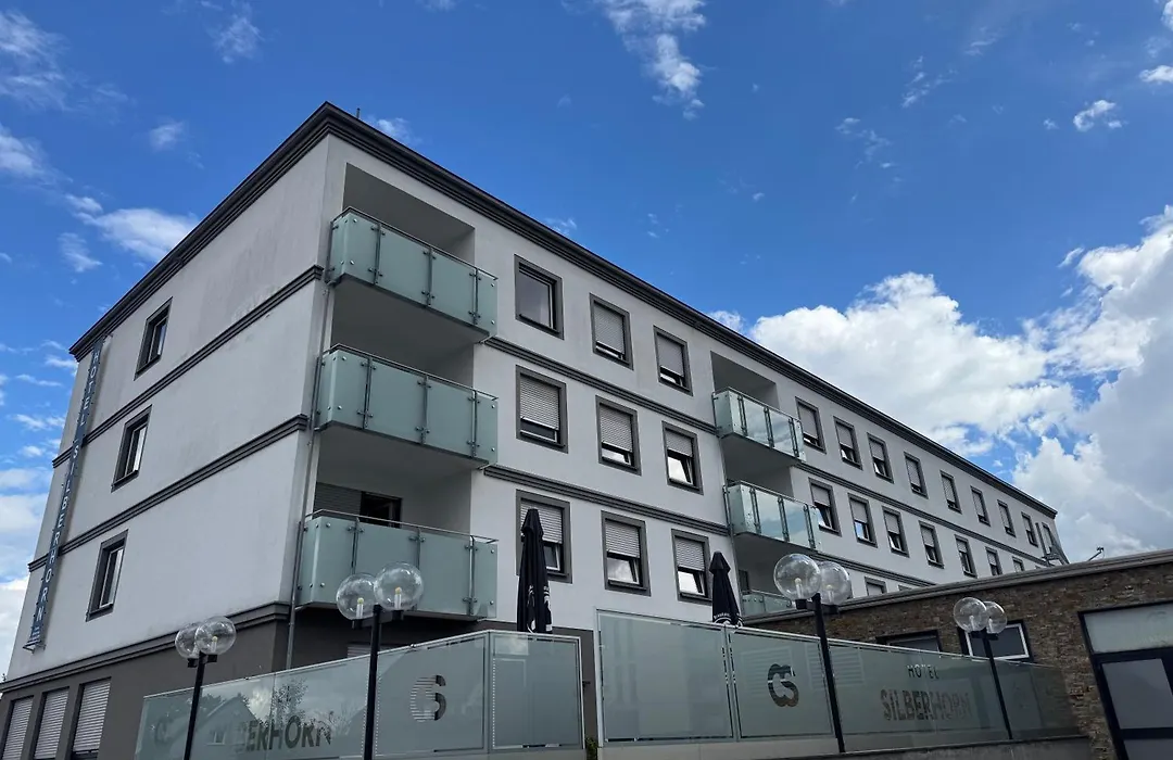 Hotel Silberhorn-1