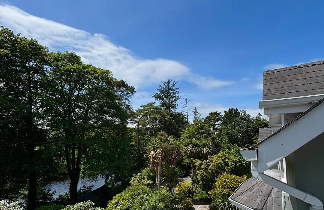 The Grove Lodge Guesthouse-1
