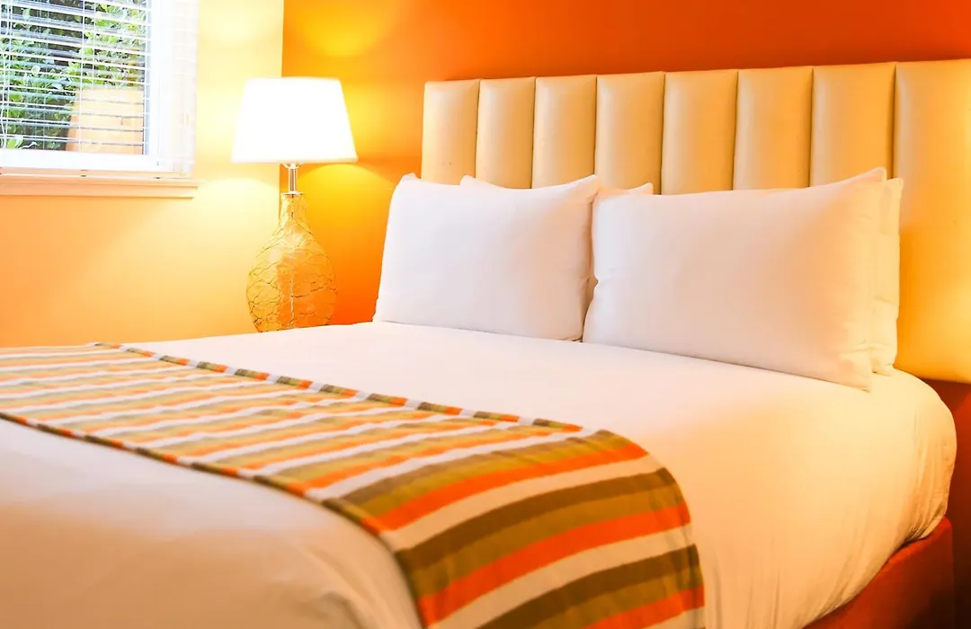 Hotel Del Sol-1