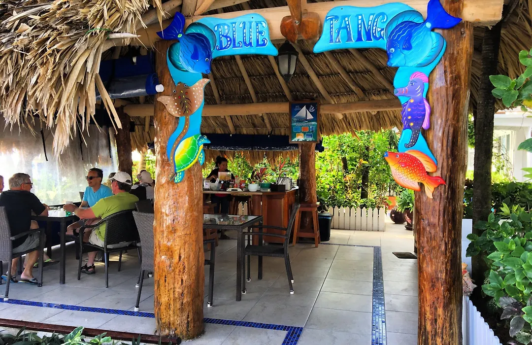 Blue Tang Inn - Beachfront Suites And Pool-1