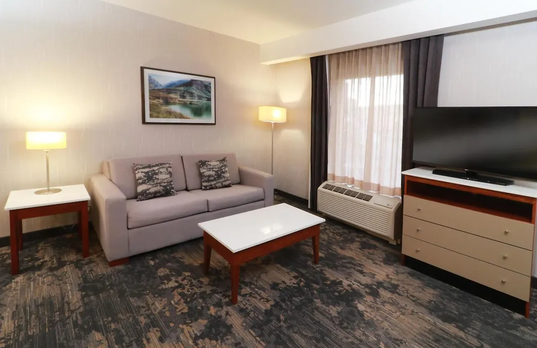 Hampton By Hilton Chihuahua-1