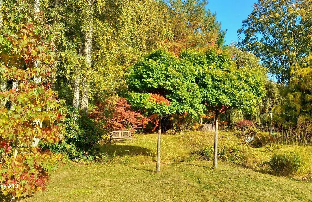 Ostsee-Pension An der Lindenallee-1
