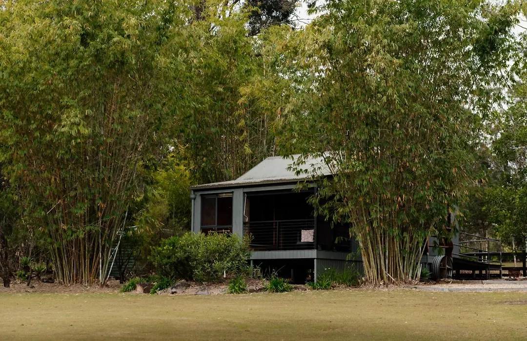 Tuckeroo Cottages & Gardens - Blue Wren & Kookaburra-1