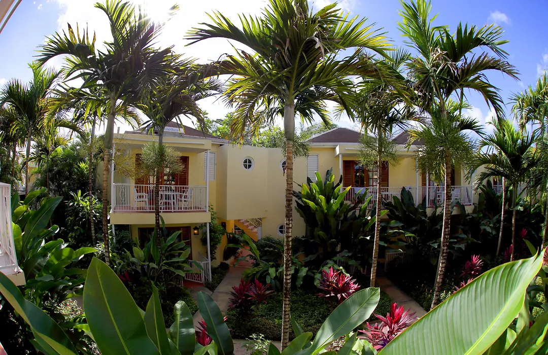Negril Palms-1