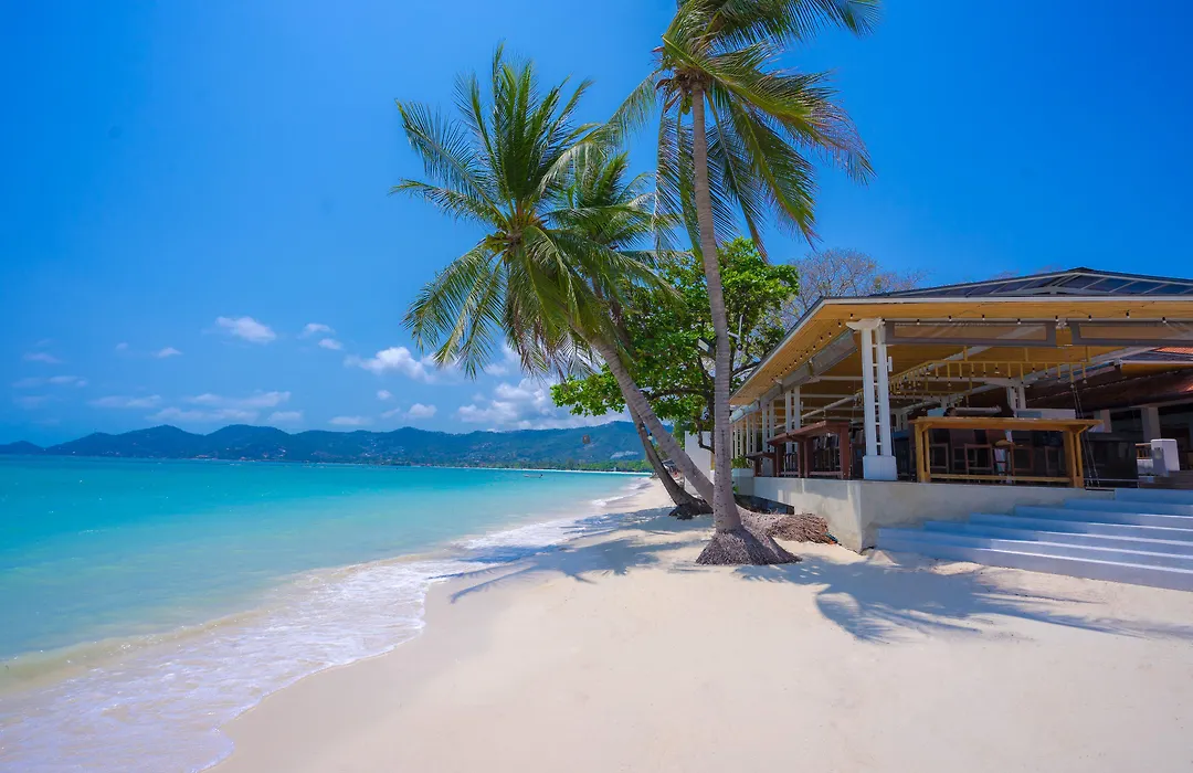Chaweng Regent Beach Resort - SHA Extra Plus-1