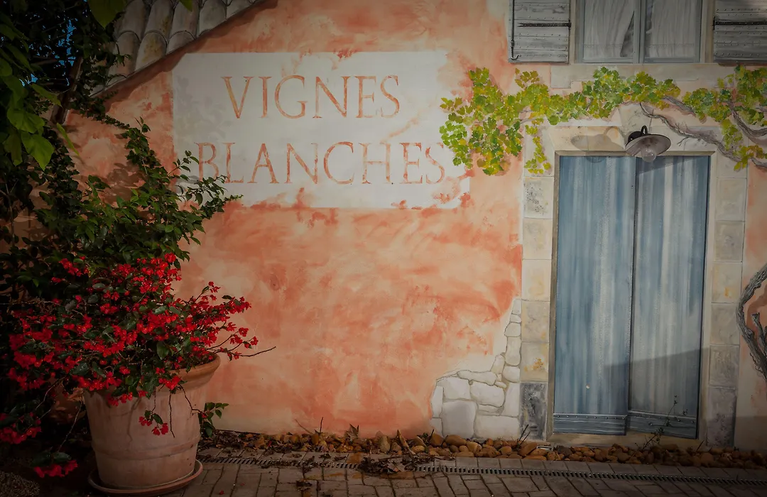 Logis Hotel Les Vignes Blanches-1