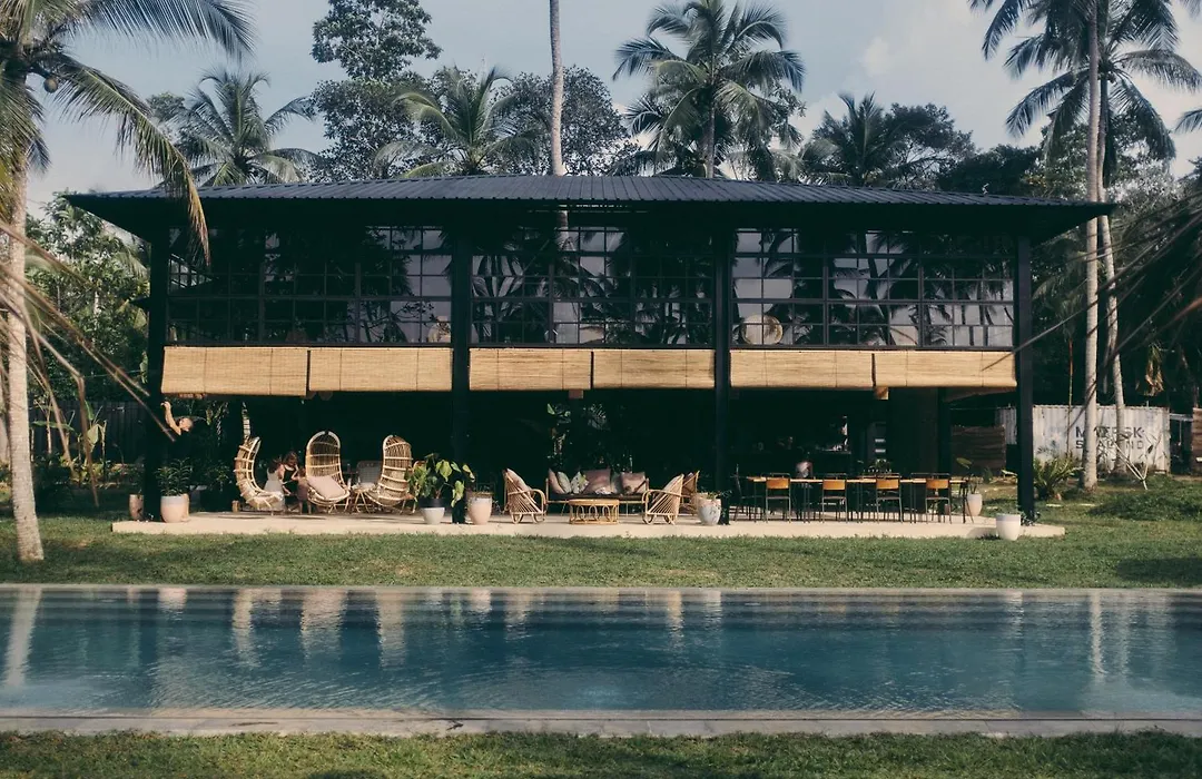 Palm Hotel-1
