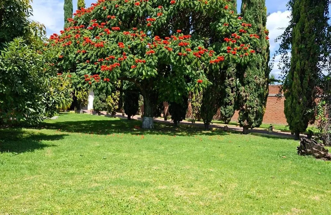 Los ciprés-1