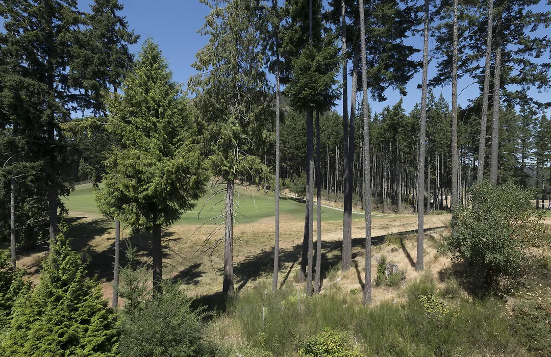 The Westin Bear Mountain Resort & Spa, Victoria-1