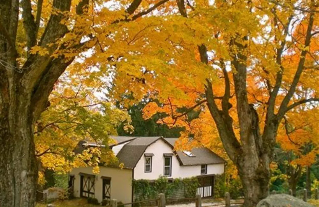 Whistler'S Inn-1