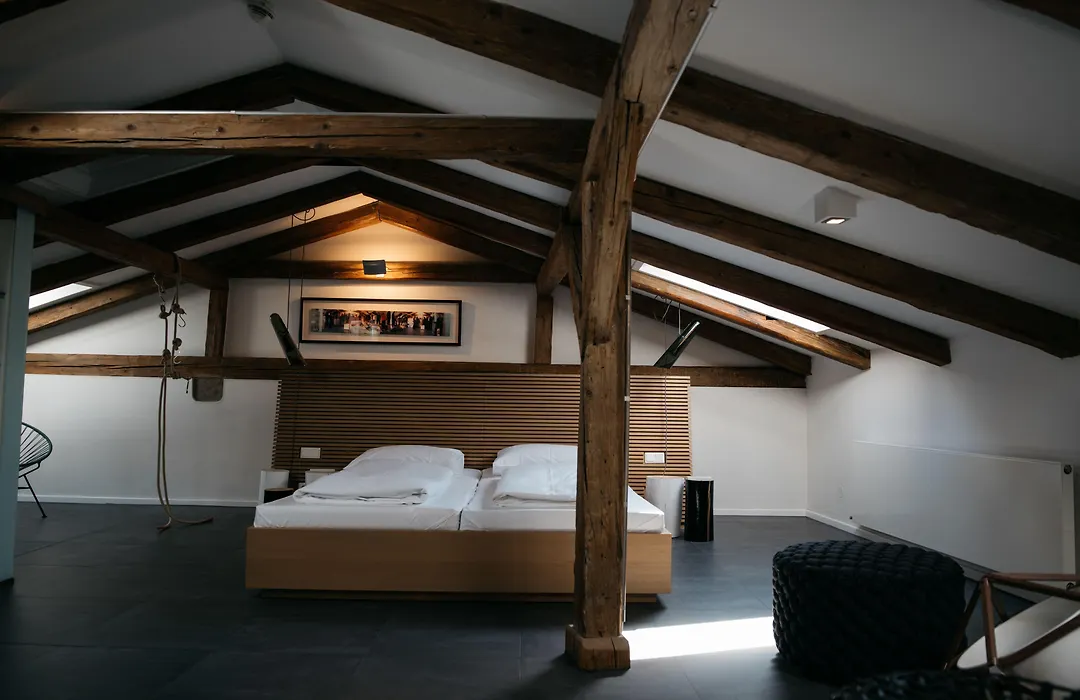 artHotel Blaue Gans-1