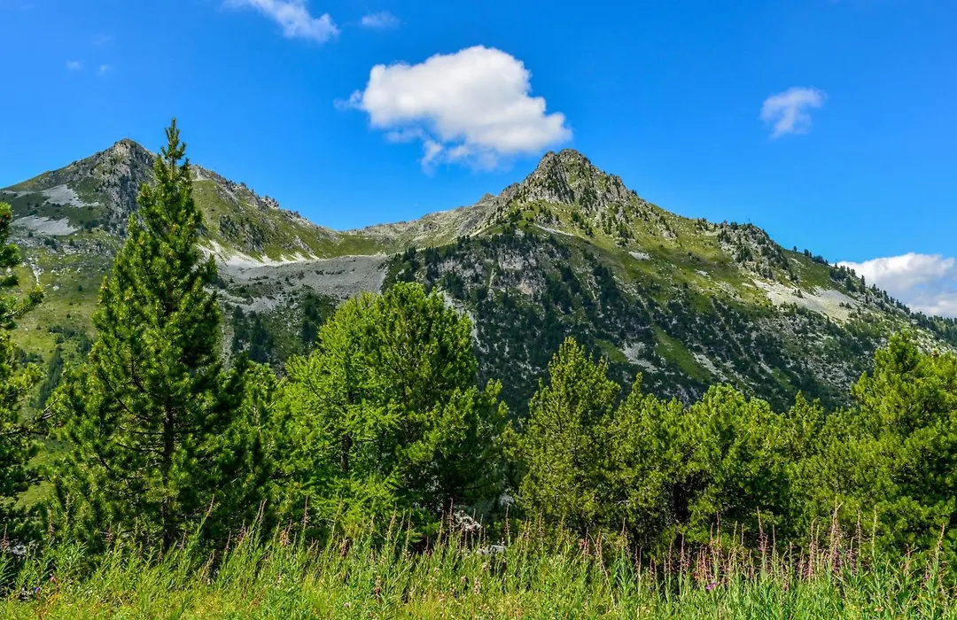 Chalet Des Neiges : La Cime Des Arcs-1