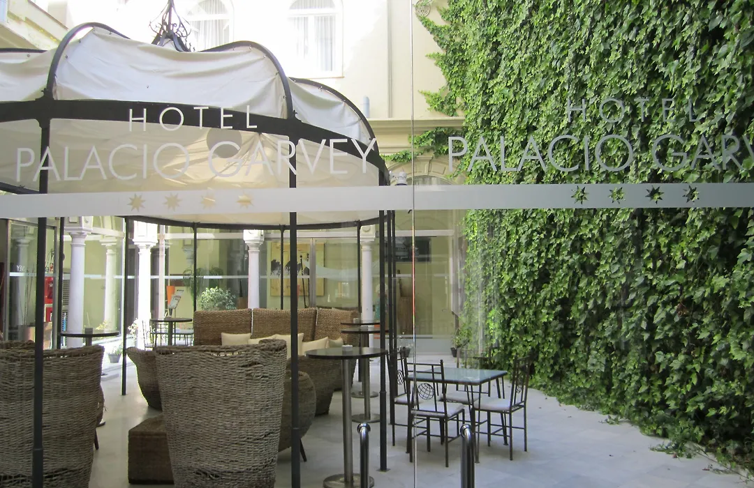 Hotel Palacio Garvey-1