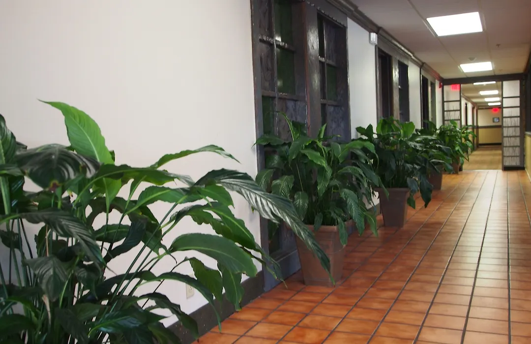 Travelodge By Wyndham Coffeyville-1