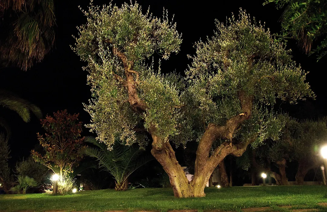 Citta Bianca Country Resort-1