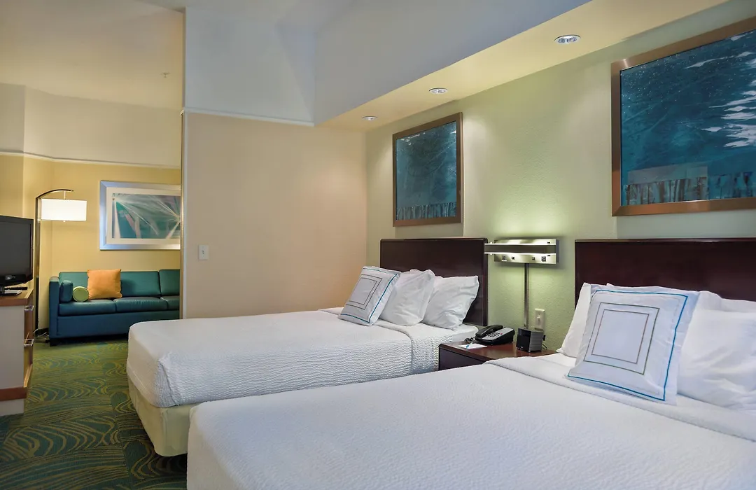 Springhill Suites St Petersburg Clearwater-1