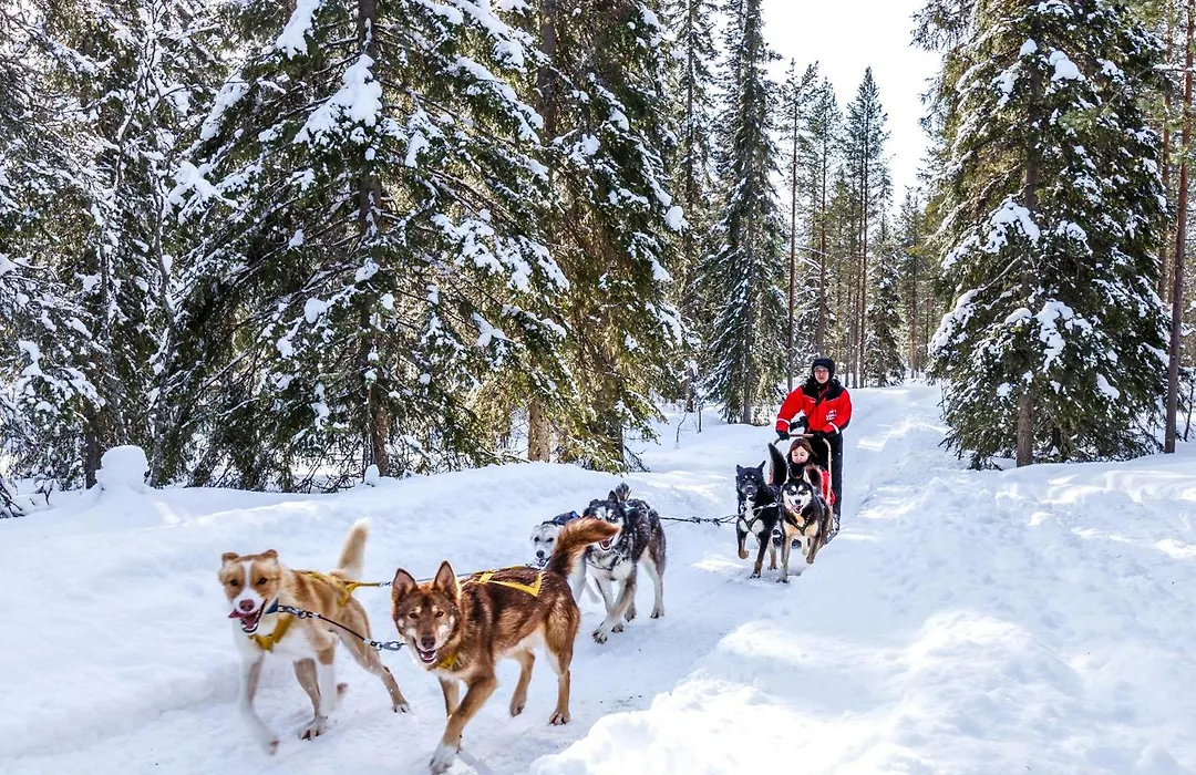 Lapland Hotels Bear'S Lodge-1