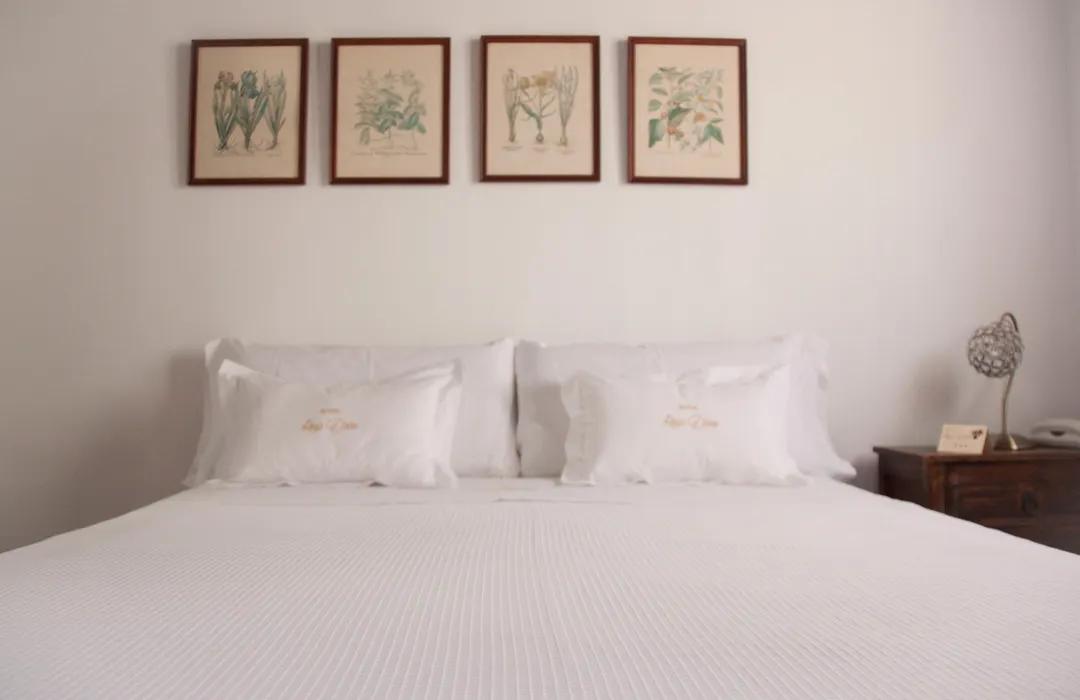 Hotel Rosa De Oro-1