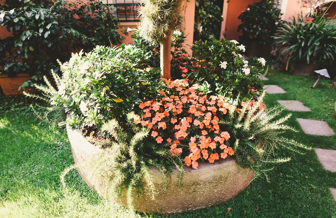 Albergo Minerva-1