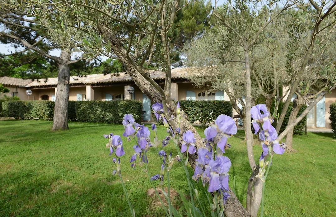 Hotel Villa Glanum Et Spa-1
