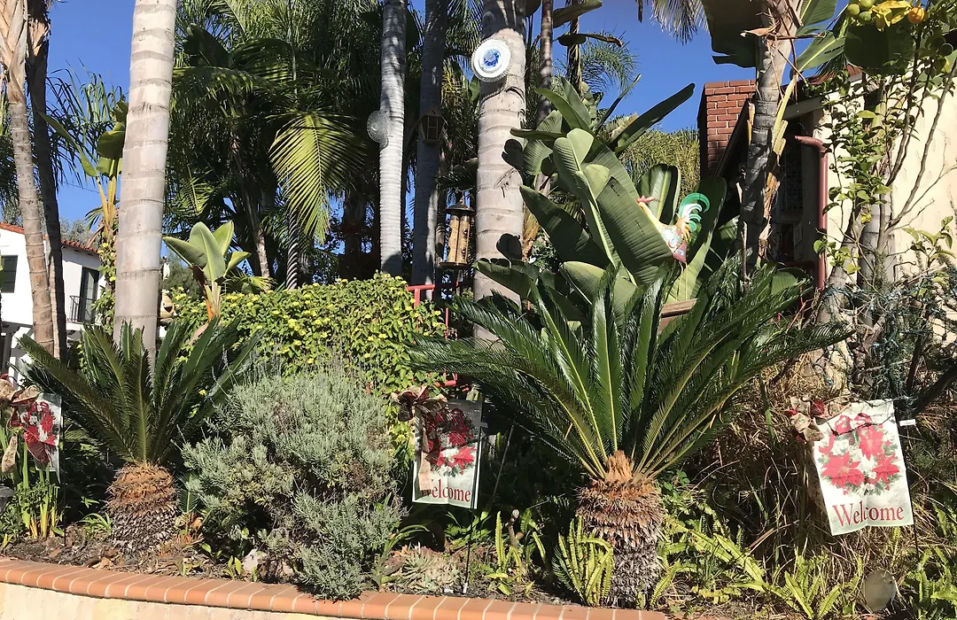 Always Inn San Clemente Bed & Breakfast By Elevate Rooms-1