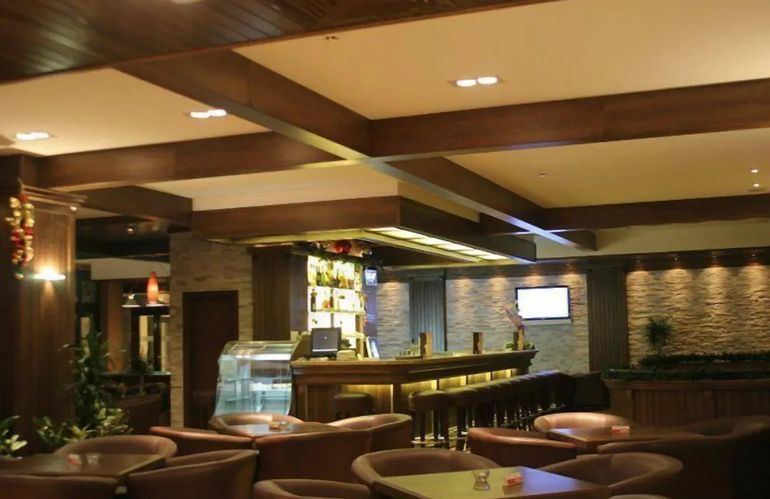 Lion Bansko Hotel-1