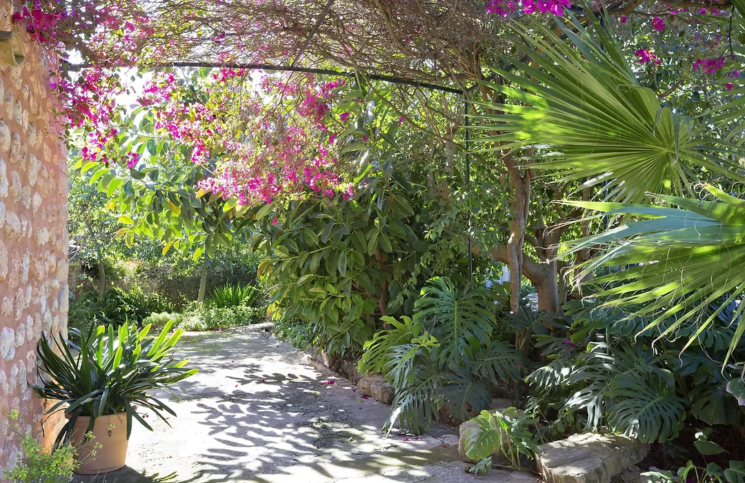 Finca Ca'N Quatre-1