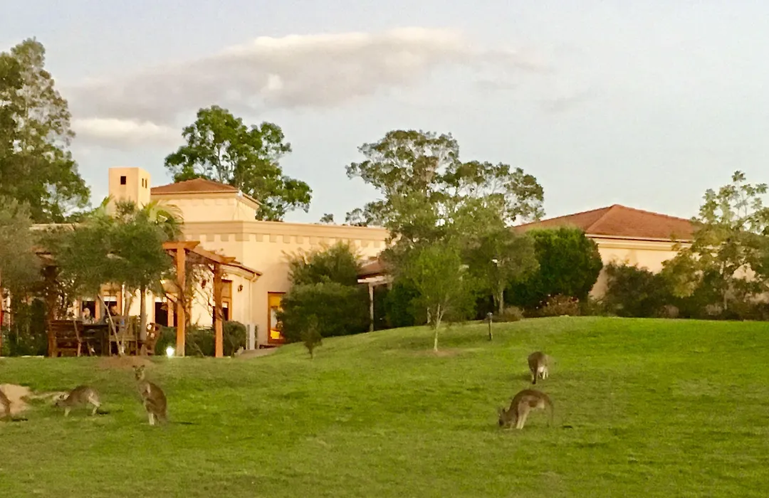 Estate Tuscany-1