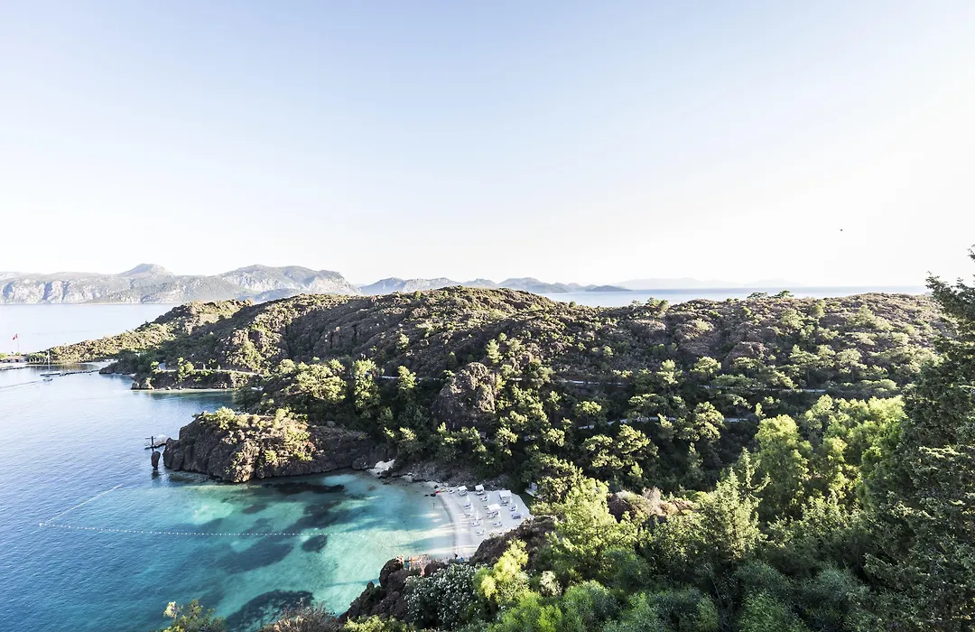 D Maris Bay-1