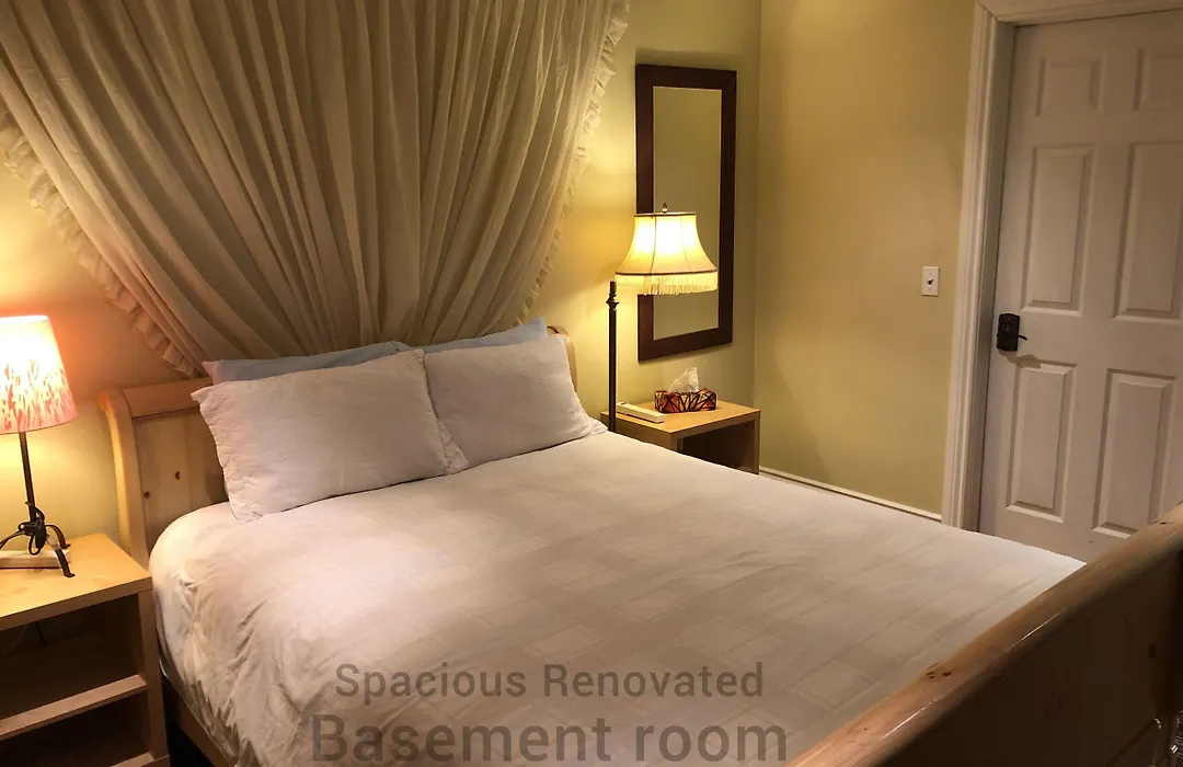 A Seaton Dream-1