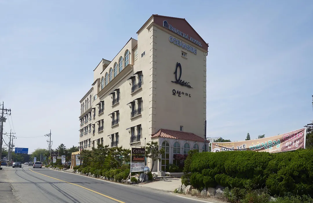 Incheon Airport Oceanside Hotel-1