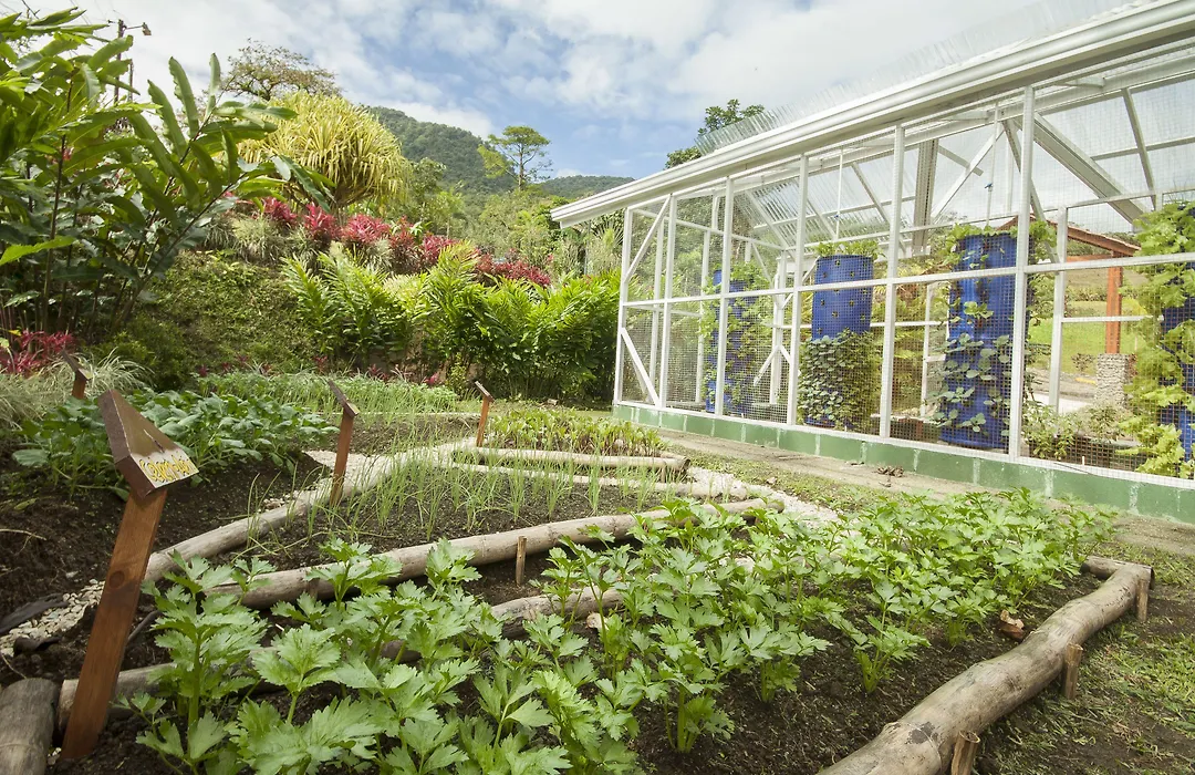 Arenal Waterfall Lodge Villas-1