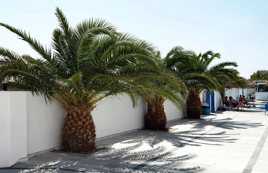 Villa Valvis-1