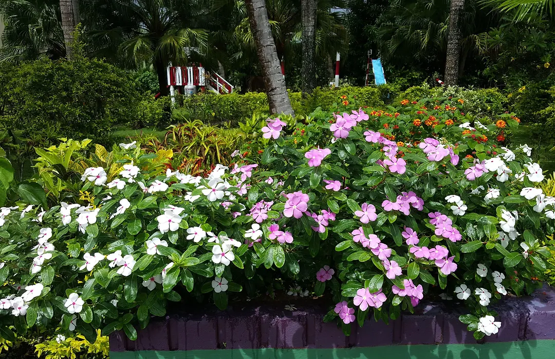 Grand West Villas-1