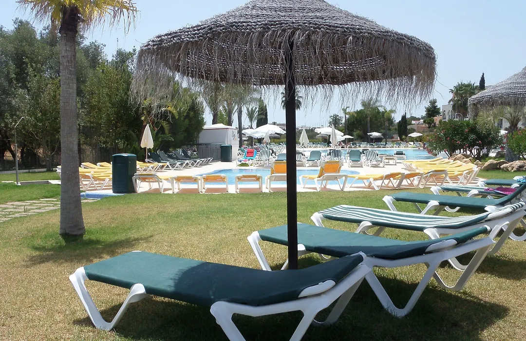 Yellow Alvor Garden-1