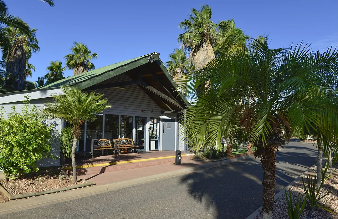 Desert Palms Alice Springs-1