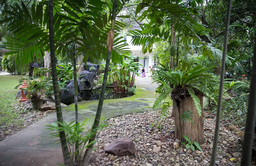 Eco Resort Chiang Mai-1