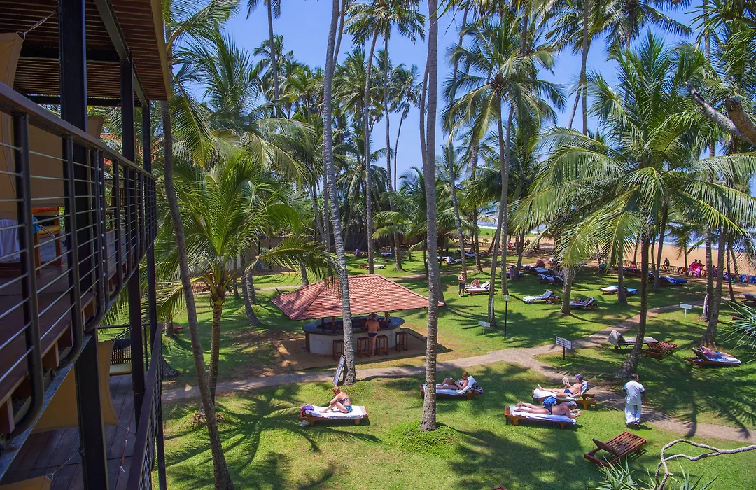 Mermaid Hotel & Club-1