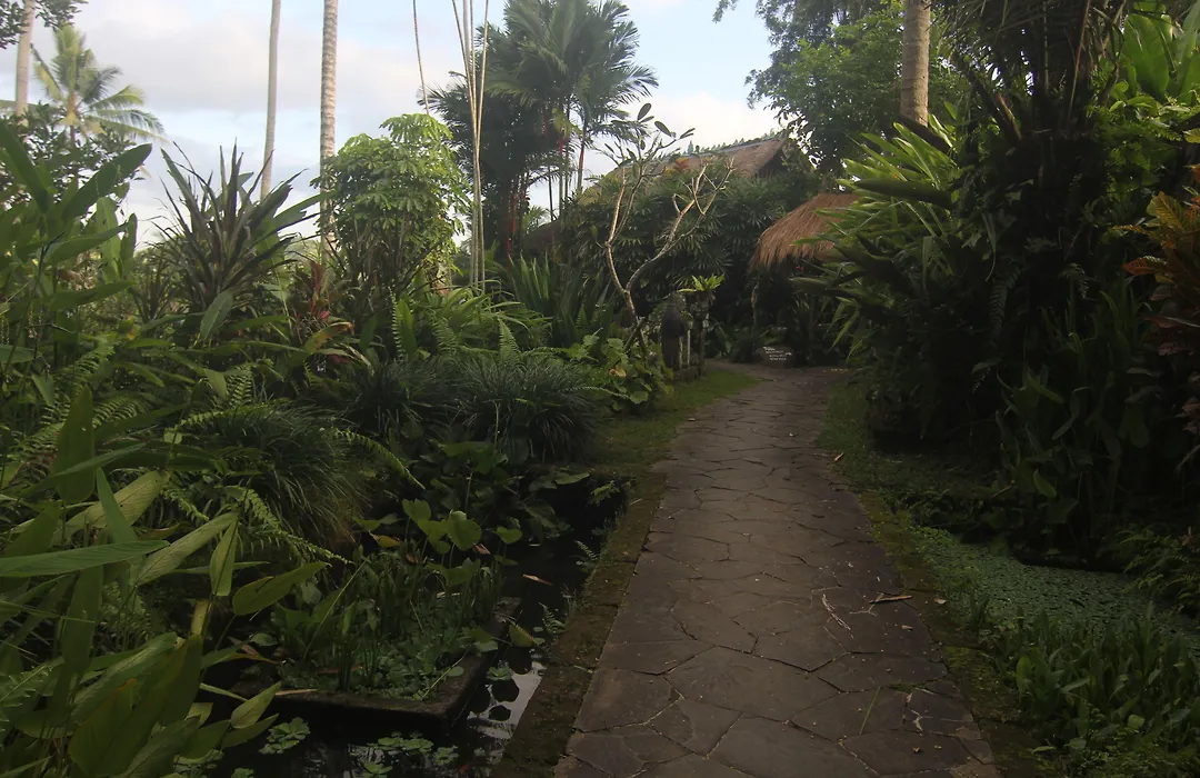 Taman Bebek Bali-1