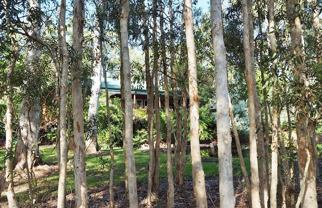 Lake Weyba Cottages Noosa-1