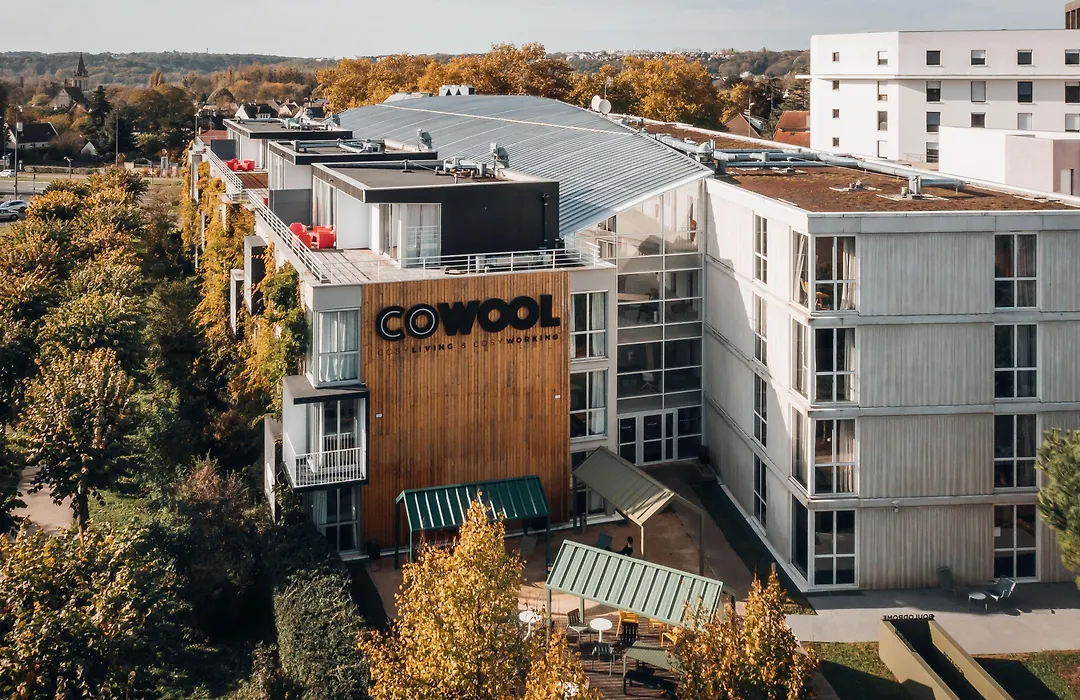 Cowool Cergy-1