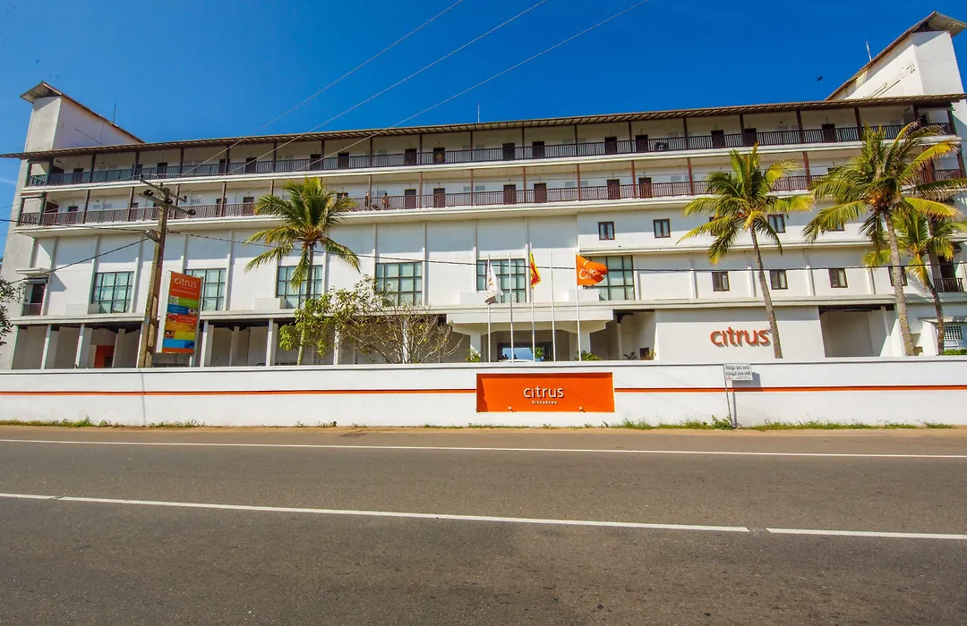 Citrus Hikkaduwa-1