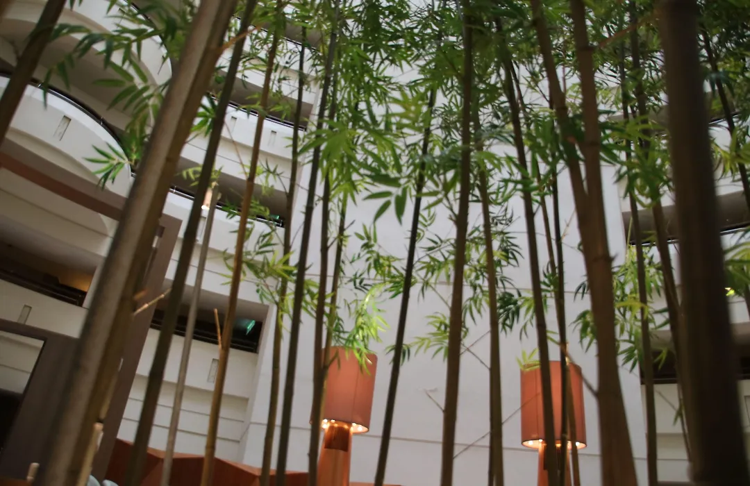 Shangri-La Far Eastern Tainan-1