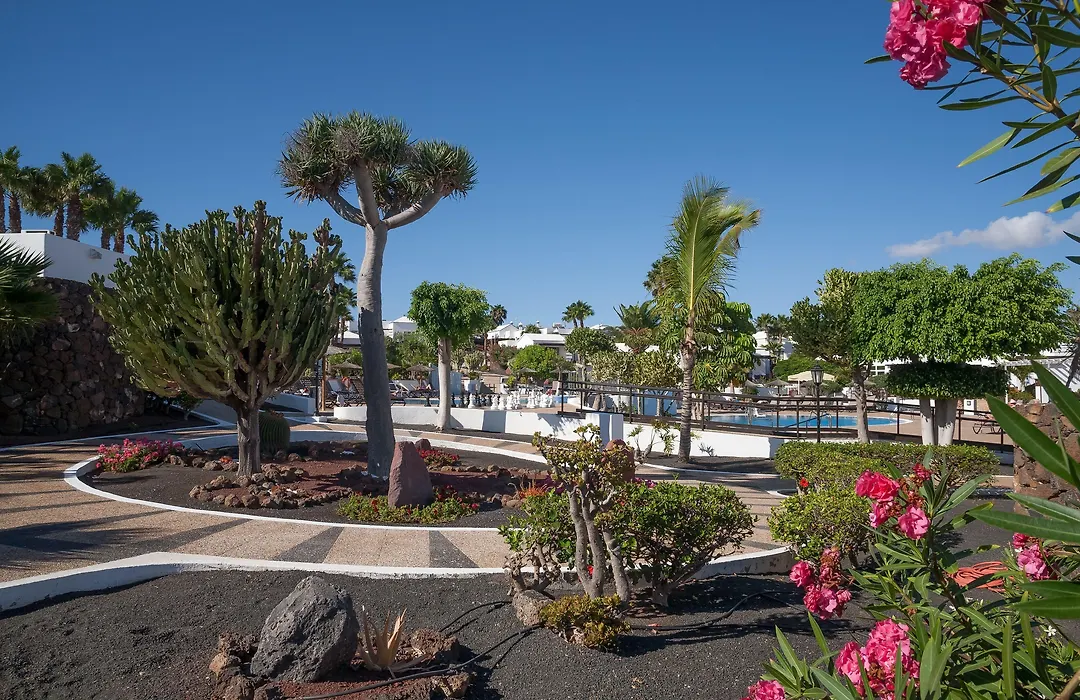 Jardines Del Sol-1