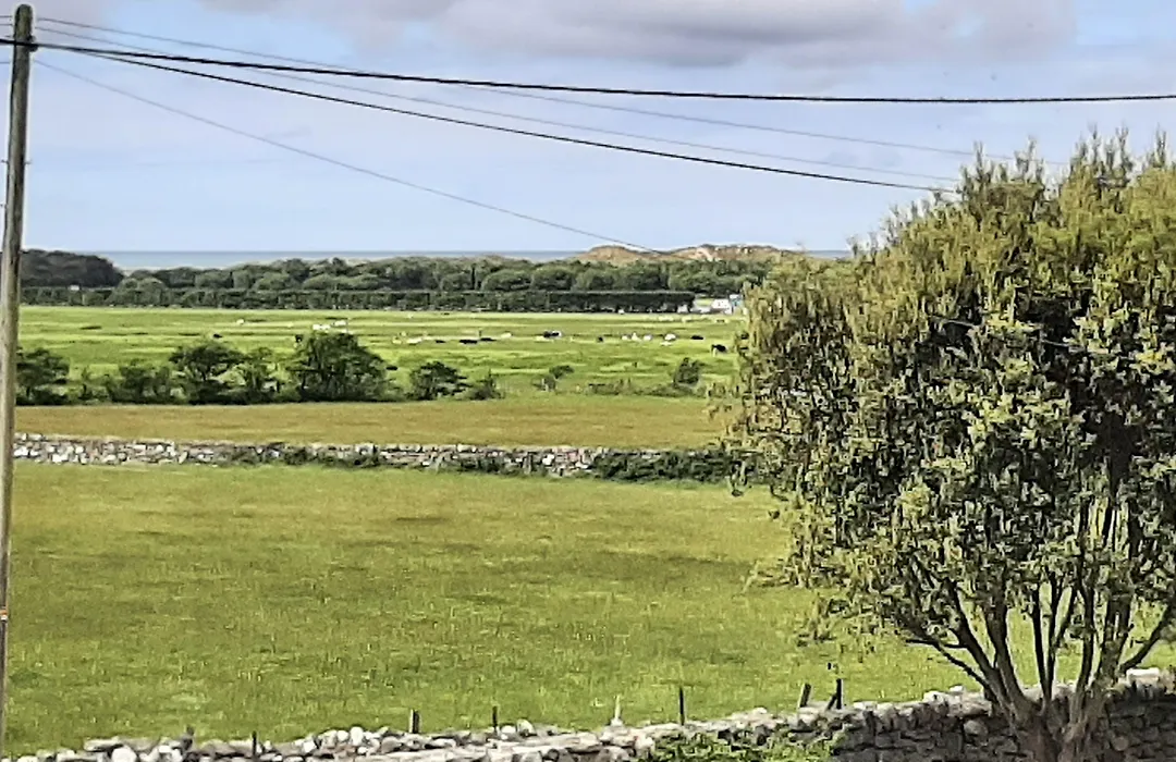 Cadwgan House-1