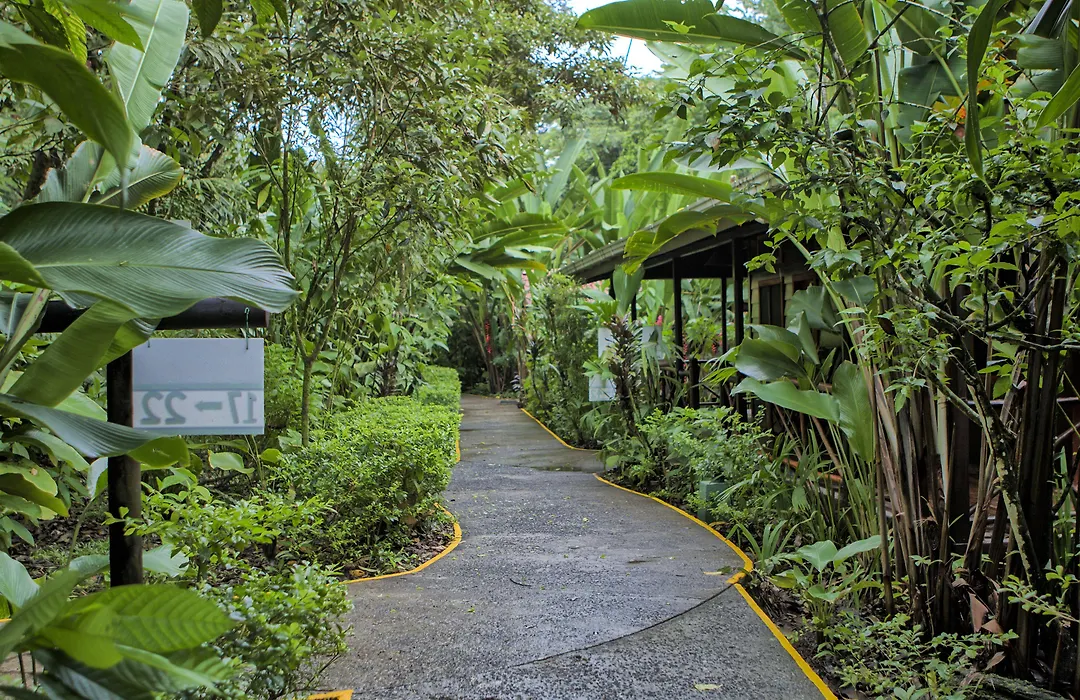 Pachira Lodge-1