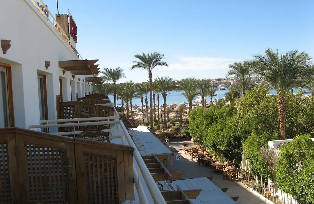 Oonas Dive Club-1