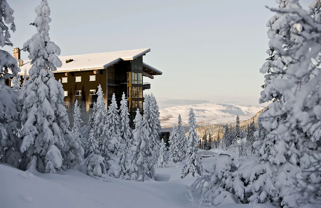 Copperhill Mountain Lodge-1