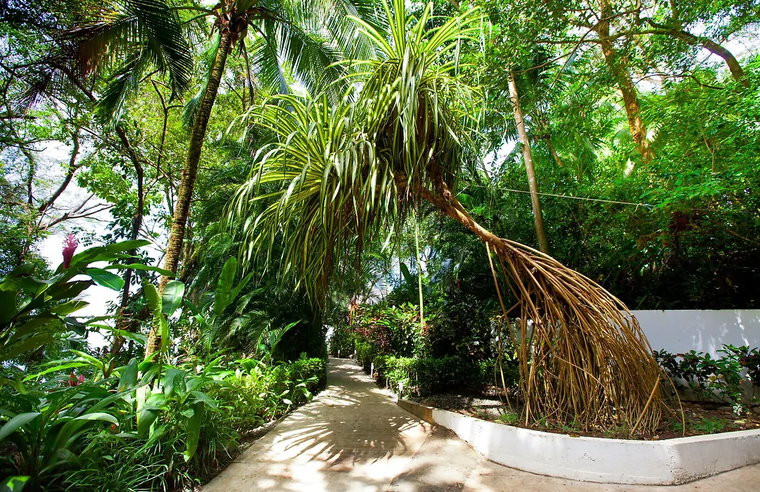 Makanda By The Sea Hotel Adults Only-1